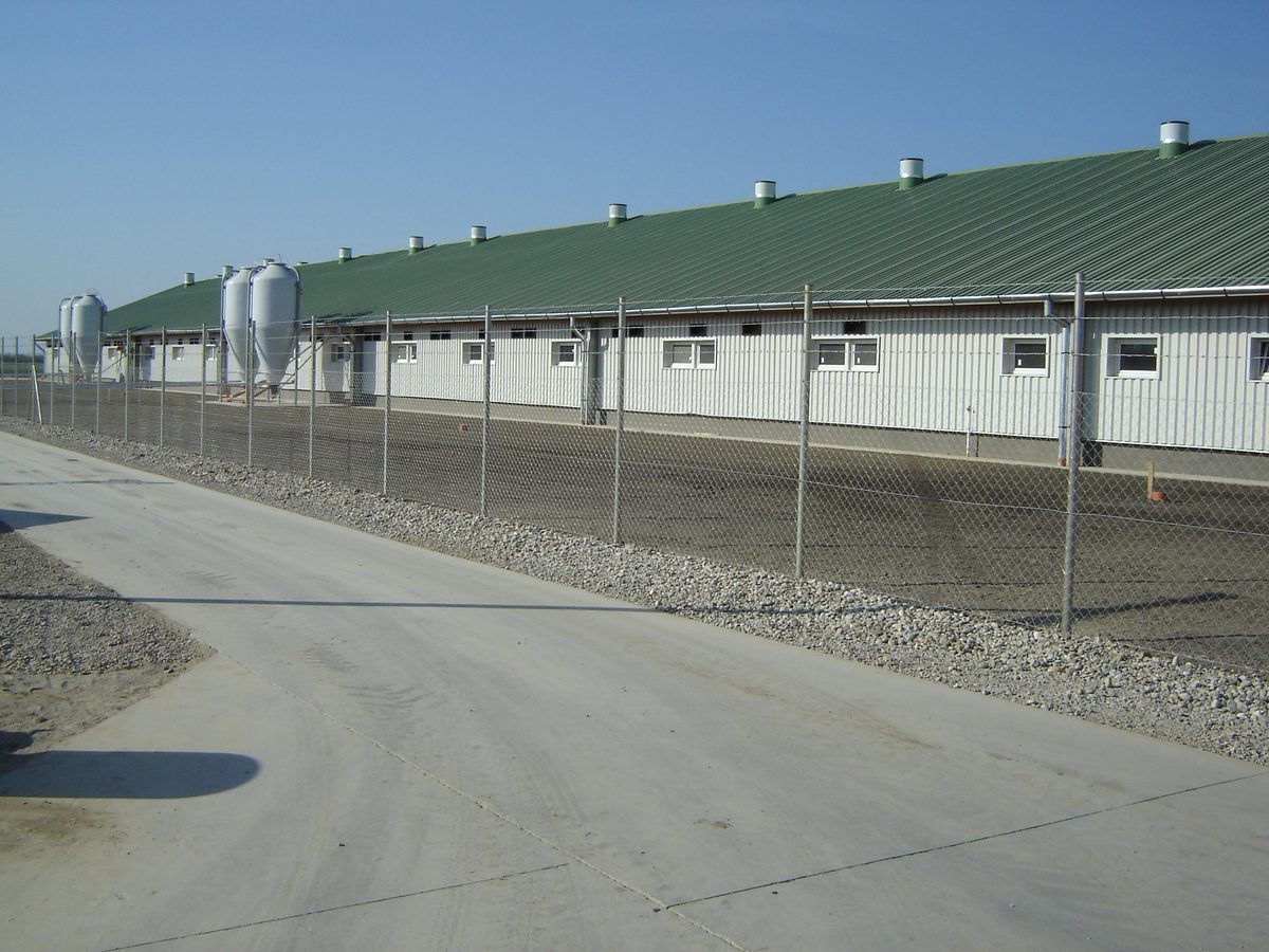 Sertéstelep, Dalmand — ipari beton